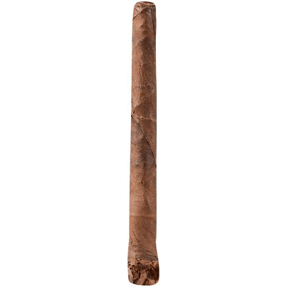 Lion Leaf Very Berry 8/5 Packs 4.38X15