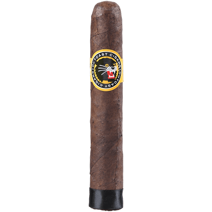 MIAMI OUTCAST TORO FRESH PACK  DISPLAY 5/4 CIGARS 5.5X54