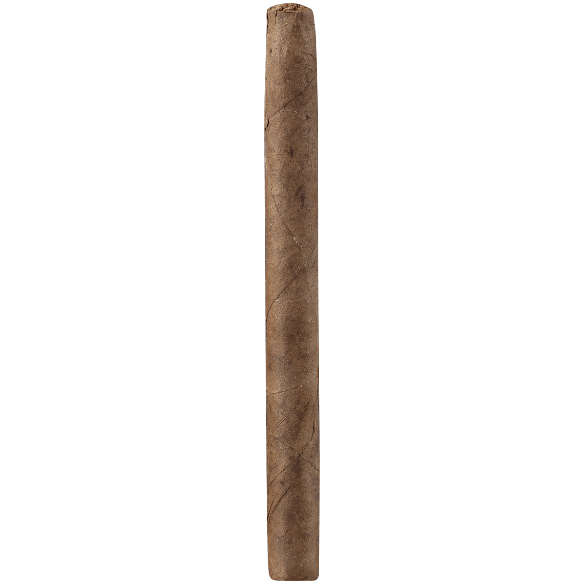 Principes Brown Corona 5X38 Chico Display 6/5