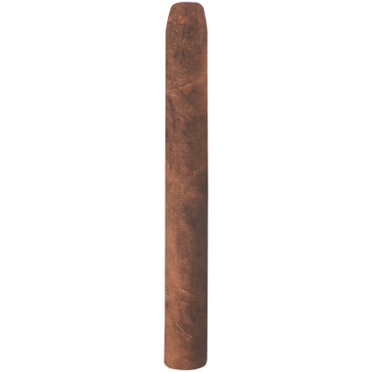 Principes Brown Corona 55 Ct Box 5X38