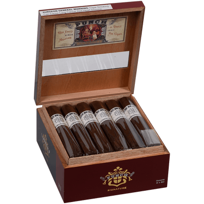 Punch Signature Gigante 18 Ct. Box 6.00X60