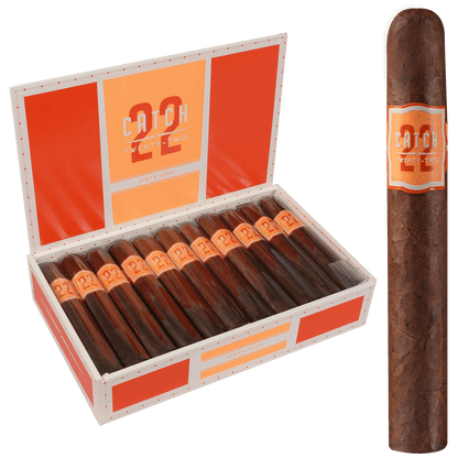 Catch 22 By Rocky Patel Sixty 22 Ct. Box 6.00X60