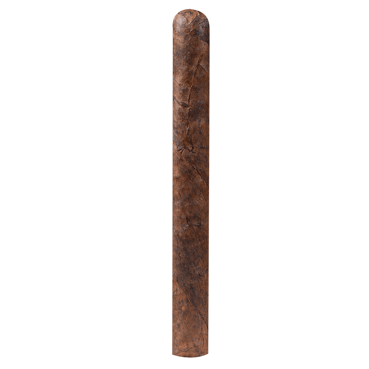Tampa Trolleys Churchill Maduro 20 Ct. Bundle 7.25X52