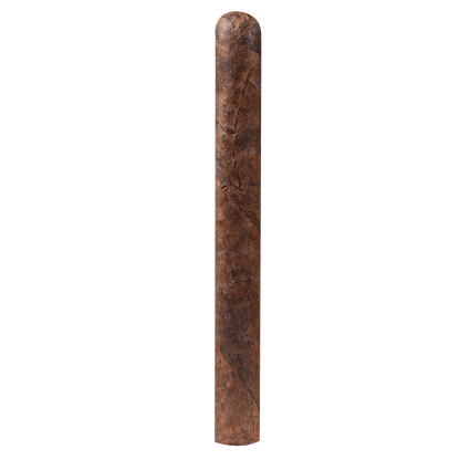 Tampa Trolleys Churchill Maduro 20 Ct. Bundle 7.25X52