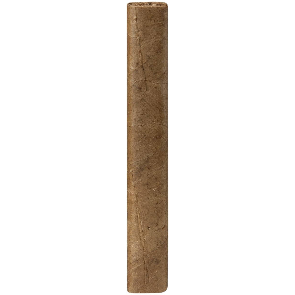 PROMO VILLIGER EXPORT CIGARS 2 5 PACKS