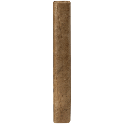 PROMO VILLIGER EXPORT CIGARS 2 5 PACKS