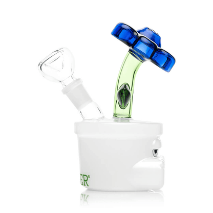Hemper Bloom Water Pipe