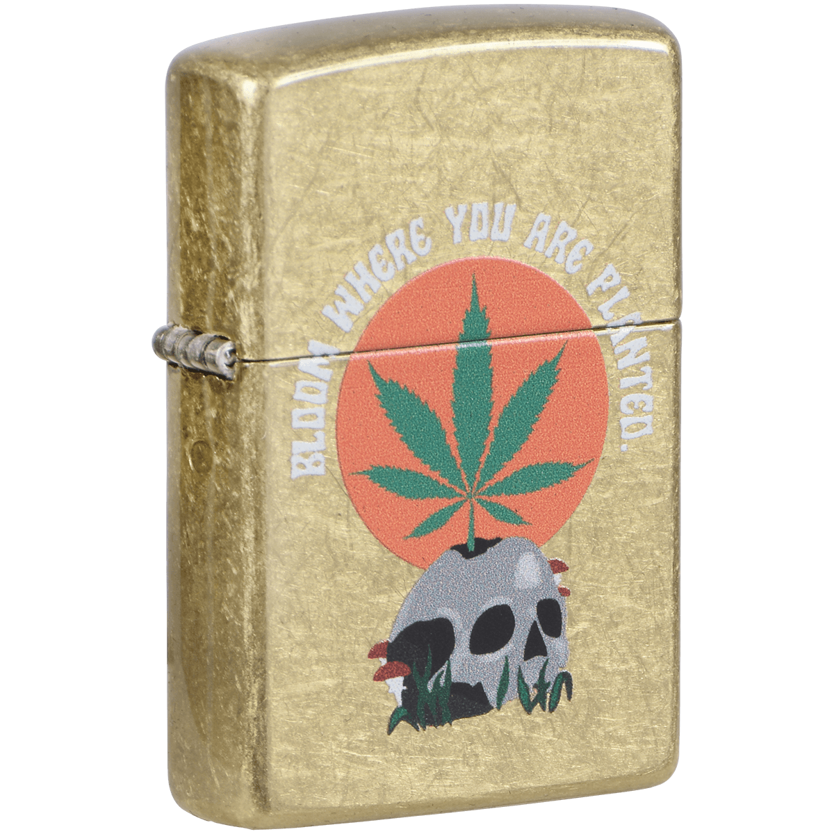 Zippo Pk Collection Mushroom Skull Street Brass