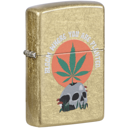 Zippo Pk Collection Mushroom Skull Street Brass