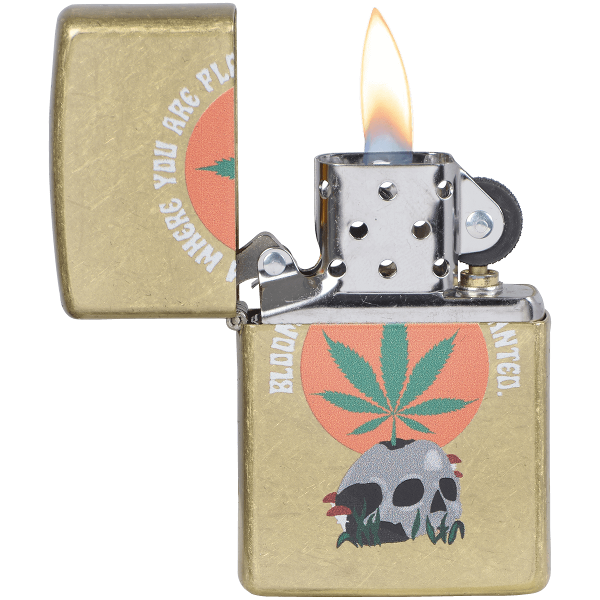 Zippo Pk Collection Mushroom Skull Street Brass
