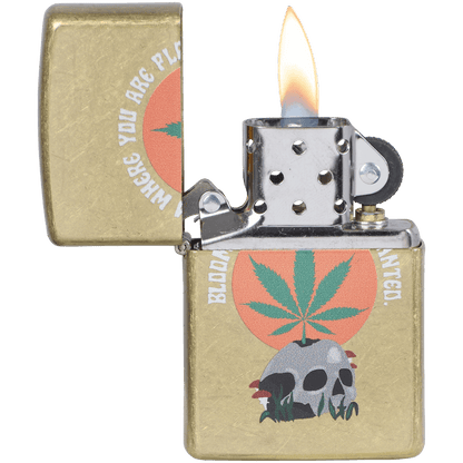 Zippo Pk Collection Mushroom Skull Street Brass