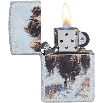 Zippo Pk Collection Bison And Glacier Color Image