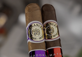 Best selling premium cigars popular with tobacco retailers and shops
